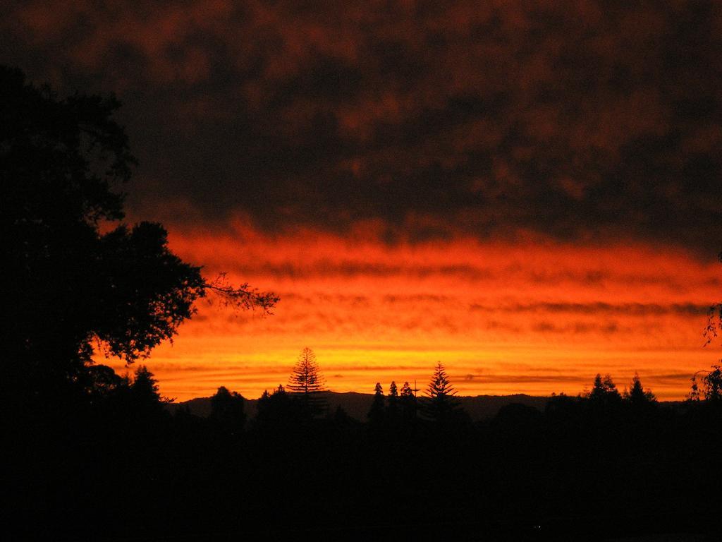 Harbinger House Bed and Breakfast Tauranga Buitenkant foto