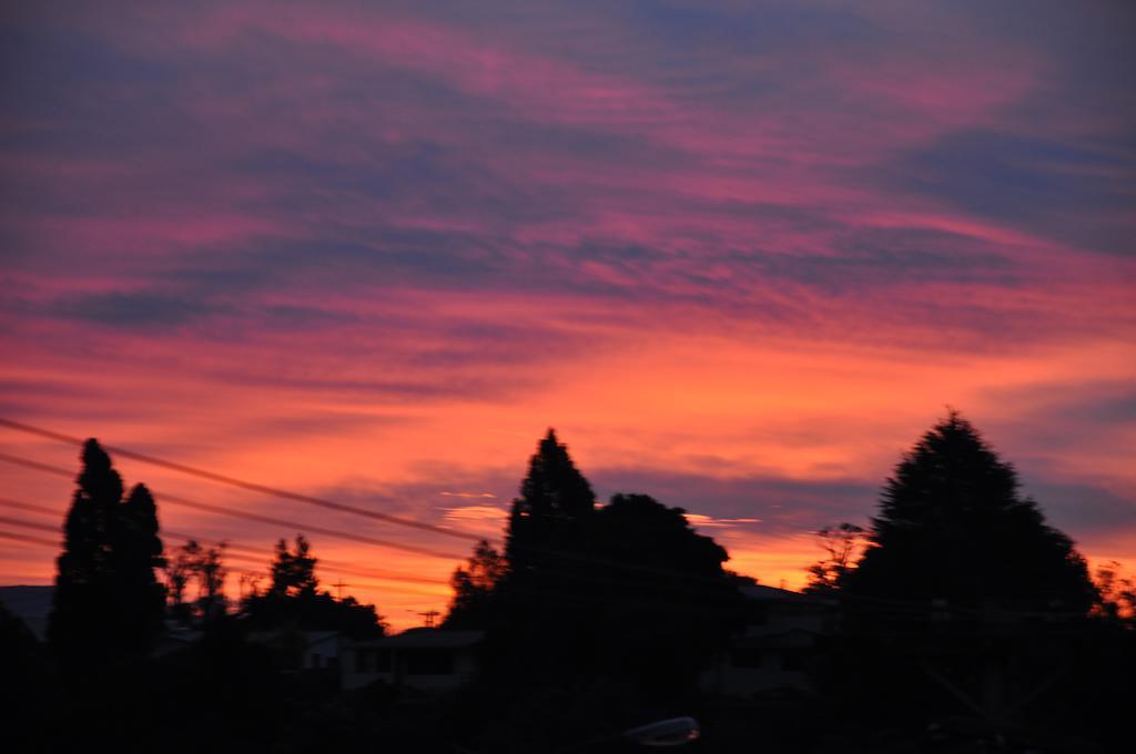 Harbinger House Bed and Breakfast Tauranga Buitenkant foto