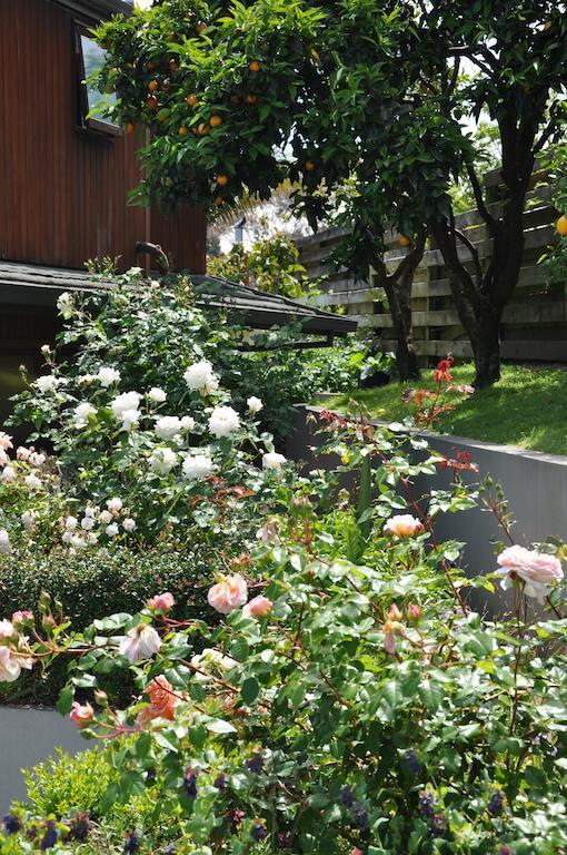 Harbinger House Bed and Breakfast Tauranga Buitenkant foto