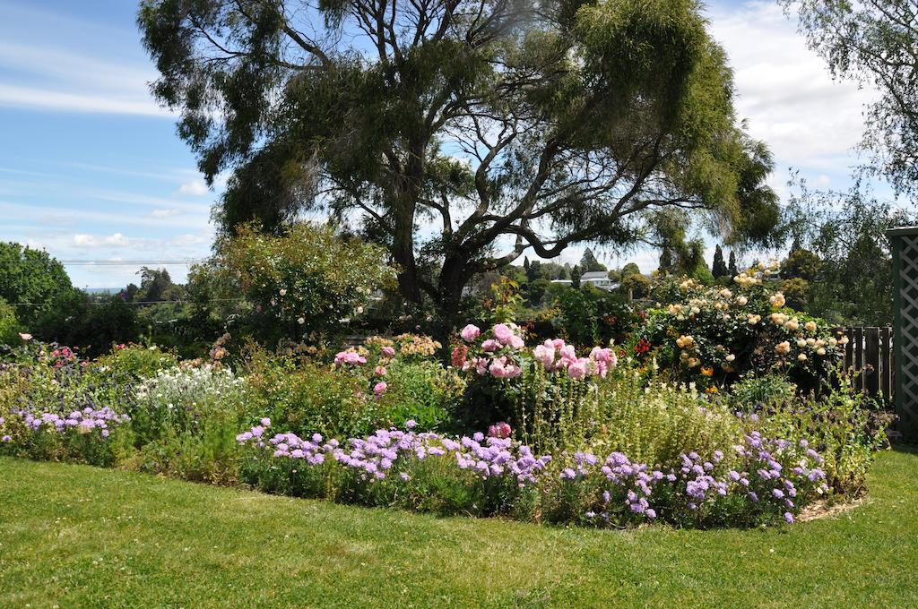 Harbinger House Bed and Breakfast Tauranga Buitenkant foto