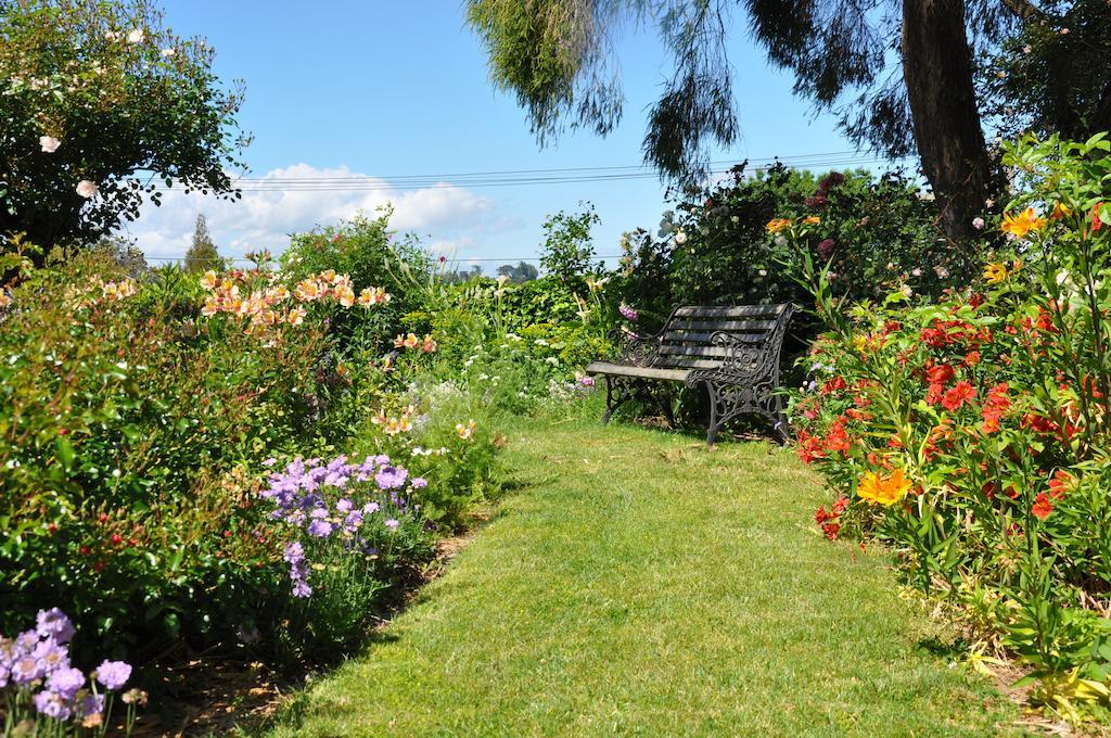 Harbinger House Bed and Breakfast Tauranga Buitenkant foto