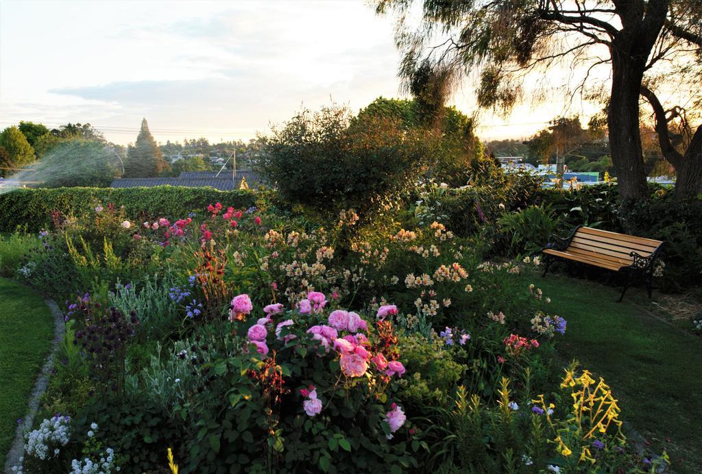 Harbinger House Bed and Breakfast Tauranga Buitenkant foto