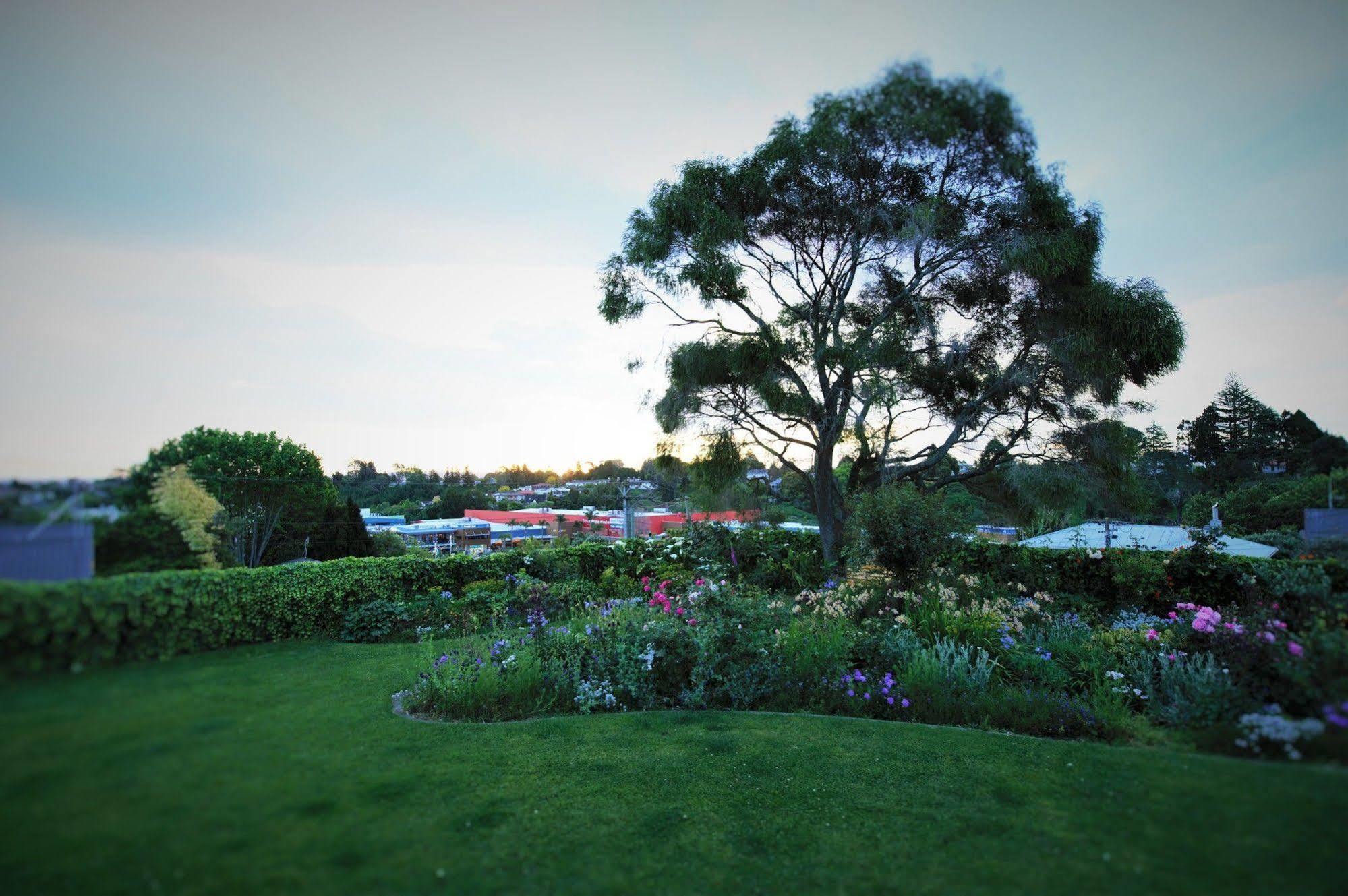 Harbinger House Bed and Breakfast Tauranga Buitenkant foto